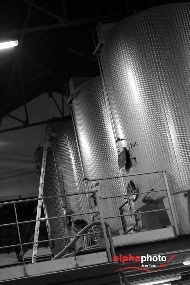 Soirée primeur 2015, reportage événementiel à la cave des Vignerons du Roy Renée, Lambesc