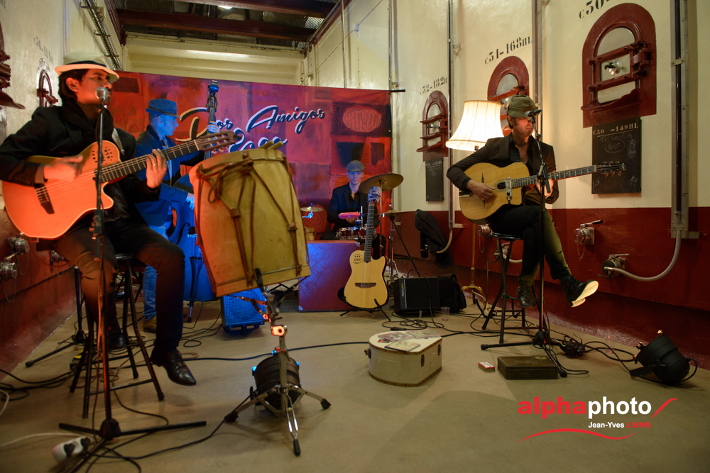 Soirée primeur 2015, reportage événementiel à la cave des Vignerons du Roy Renée, Lambesc
